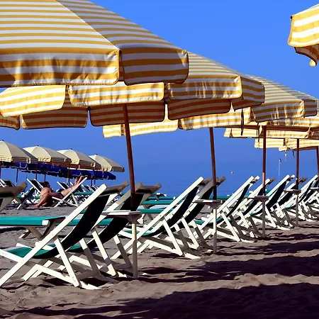 Raffaelli Angela Forte dei Marmi