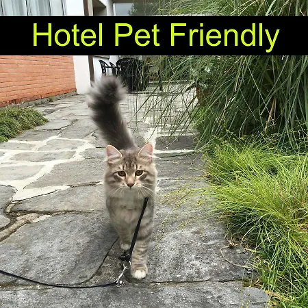 Hotell Raffaelli Angela Forte dei Marmi